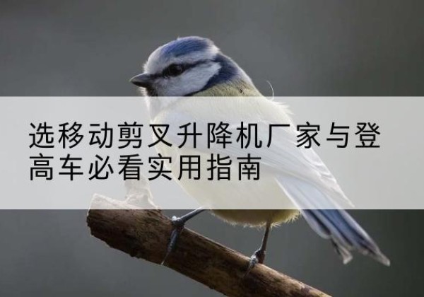 海州电动升降机厂家-选移动剪叉升降机厂家与登高车必看实用指南