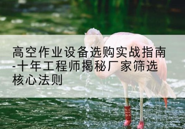 海州剪叉式升降机厂家-高空作业设备选购实战指南-十年工程师揭秘厂家筛选核心法则